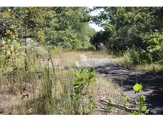 Property photo 37 - 419 +/- Acres offered in 6 Tracts, Land Auction